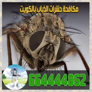 شركة مكافحة حشرات كويت بجز - هاتف الخط الساخن 66444862 4 مكافحة الذباب
